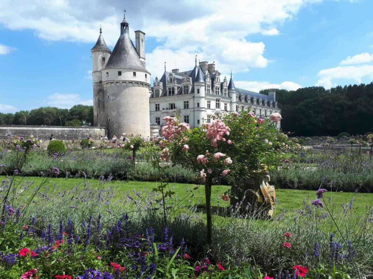 Southern Exposure Loire-et-cher Gem * Montrichard