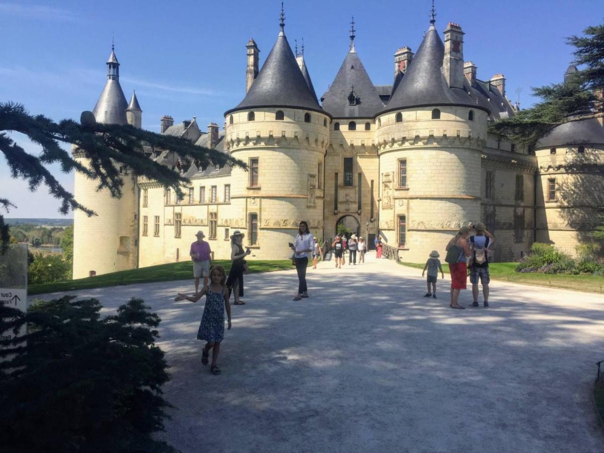 Southern Exposure Loire-et-cher Gem *