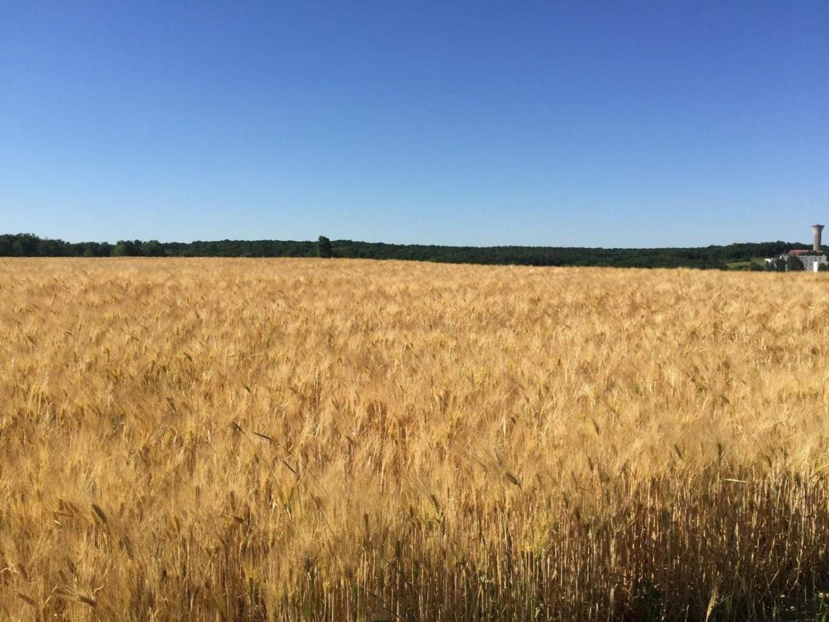Southern Exposure Loire-et-cher Gem Apartamento Montrichard